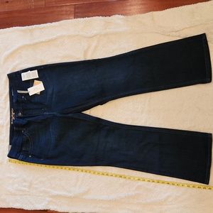 Melissa McCarthy Seven7 jeans